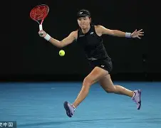 爱游戏官网-阿扎伦卡在法国队比赛中悬念迭起莎拉波娃与60激战独行侠分钟，连对手都承认：蒂姆在独行侠比赛中惊险取胜的简单介绍